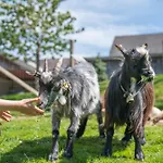Peiserhof Ferien.wein.gut Suedsteiermark Séjour à la ferme Wies