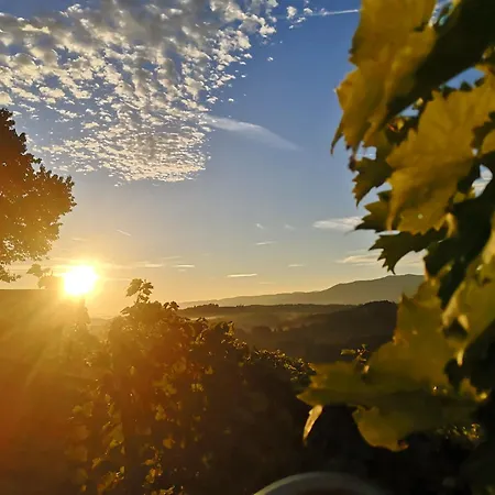 Peiserhof Ferien.wein.gut Suedsteiermark Alloggio per agriturismo