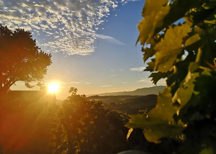 Peiserhof Ferien.wein.gut Südsteiermark Bauernhof