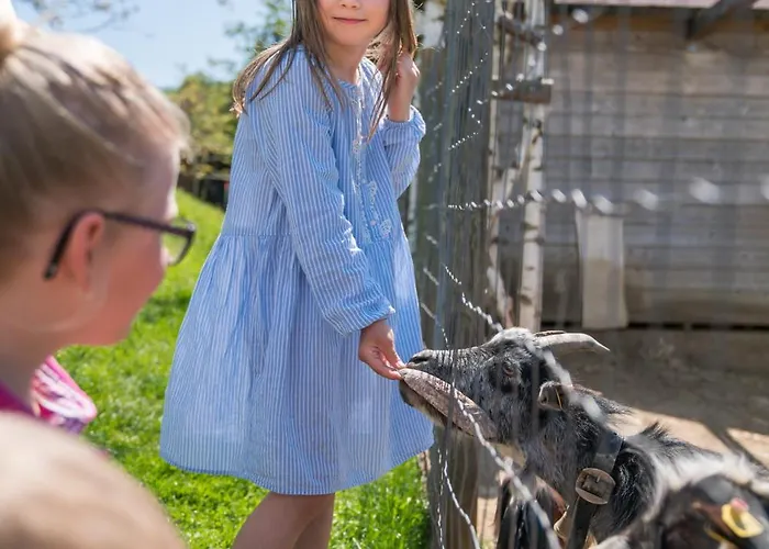 Bauernhof Peiserhof Ferien.wein.gut Südsteiermark Wies